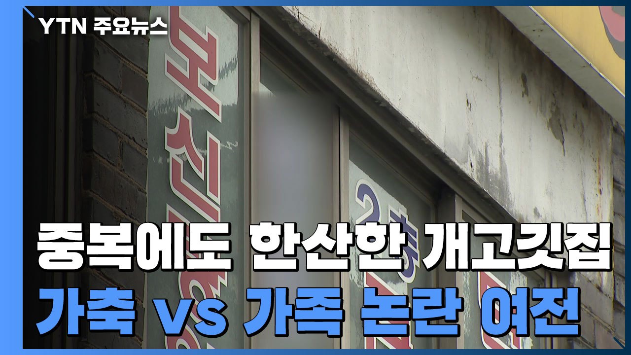 "복날 개고기는 옛말"...'가축 vs 가족' 논란은 여전 / YTN