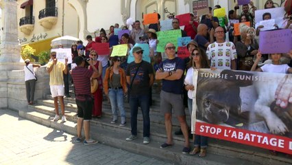 Tunus'ta hayvanseverlerden protesto
