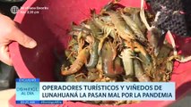 Operadores turísticos y viñedos de Lunahuaná se reinventan | Domingo al Día
