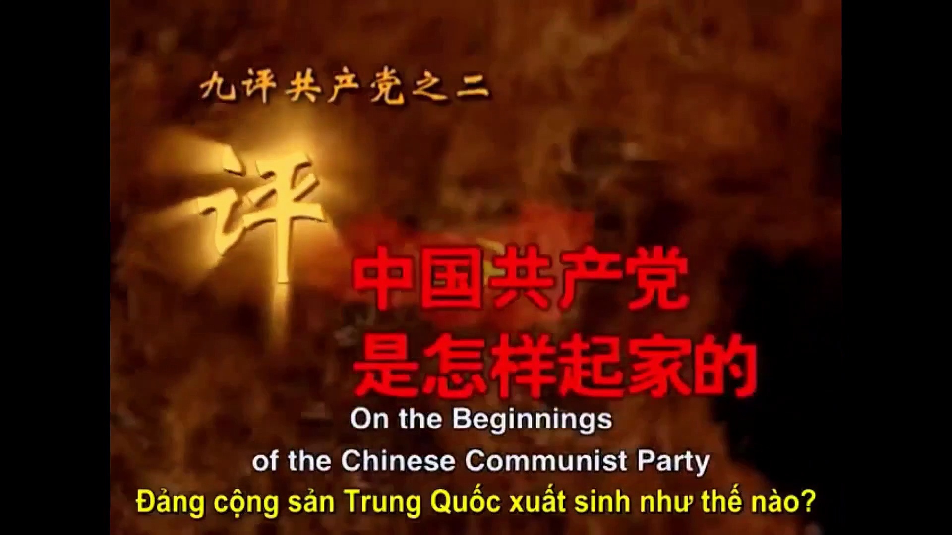 VIETNAMESE LANGUAGE
