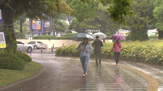 [날씨] 제주도 호우주의보...경남 해안 200mm 호우 / YTN