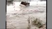 Bihar Floods: Pick-up van submerged in flood water