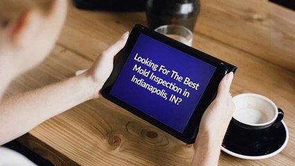 Expert Mold Inspection Services in Indianapolis, IN 🏠