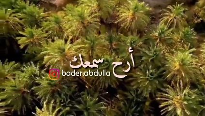 سورة الزلزلة - سعيد الخطيب