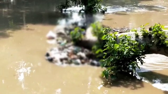 भोगनीपुर नहर में अज्ञात महिला का शव मिलने से क्षेत्र में मचा हड़कंप