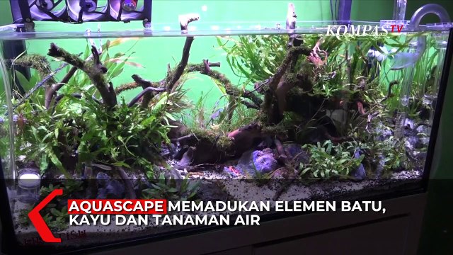 Aquascape, Bercocok Tanam dalam Air