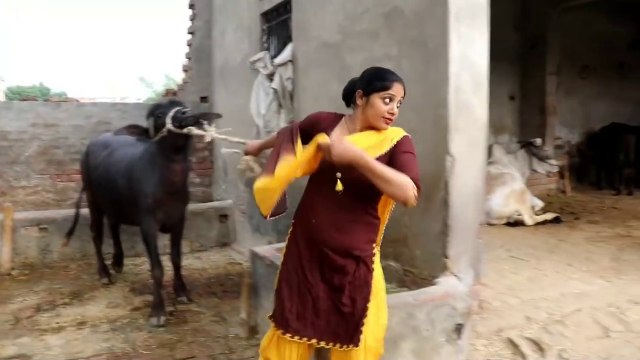 My 4-30 PM Evening village routine Village Life of Punjab India Indian rural life of Punjab