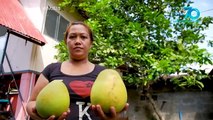 Kapuso Mo, Jessica Soho: Anak, nagba-barter ng pomedo para mabili ng gamot ang ina
