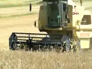 Eskişehir'de don ve dolu yağışları çiftçiyi vurdu