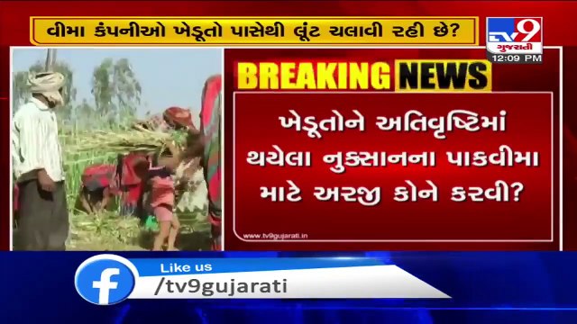 Delay in release of crop insurance adds to the troubles of farmers