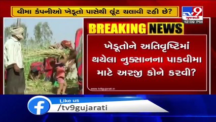 Delay in release of crop insurance adds to the troubles of farmers