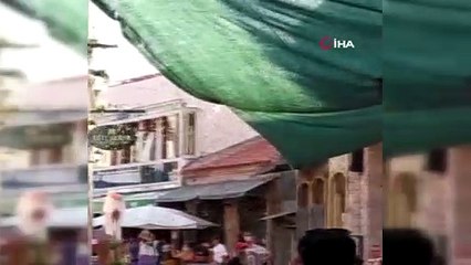 Urla'yı arılar bastı, görenler şaşırdı
