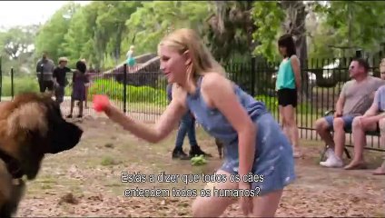 O TEU MELHOR AMIGO Filme