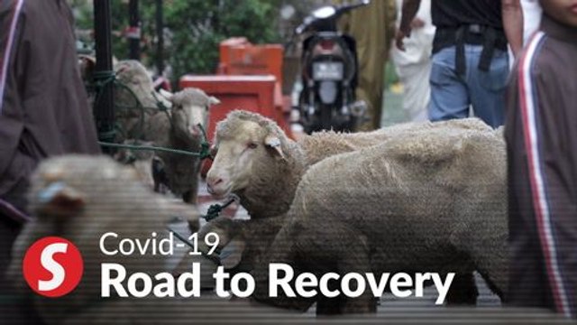 Only 20 visitors max per home,10 animals slaughtered for Hari Raya Aidiladha, says Senior Minister