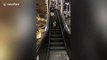 Stray dog tries to walk the wrong way up train station escalator