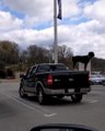 Dog Stands Straight in Guarding Mode on Back of Parked Truck