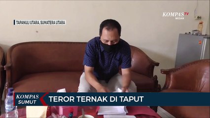 BBKSDA Sumut Identifikasi Hewan yang Terekam CCTV di Tapanuli Utara