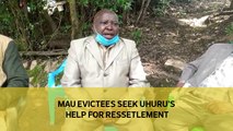 Mau evictees seek Uhuru’s help for resettlement
