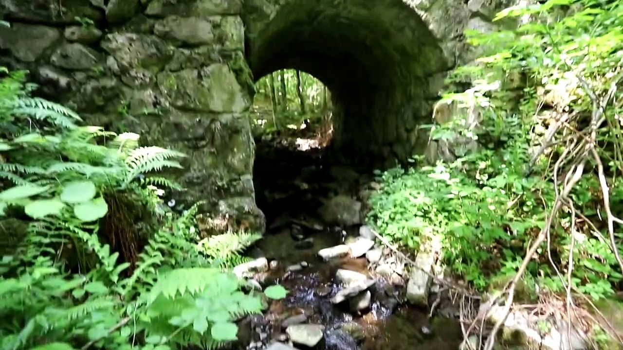 dolina