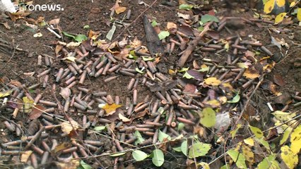 Νέα εκεχειρία στην Ανατολική Ουκρανία