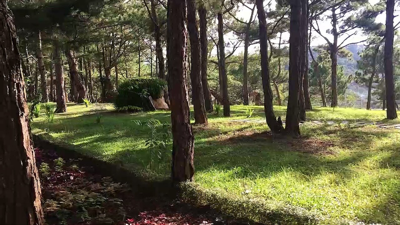 thiên đàng có lẽ là đây