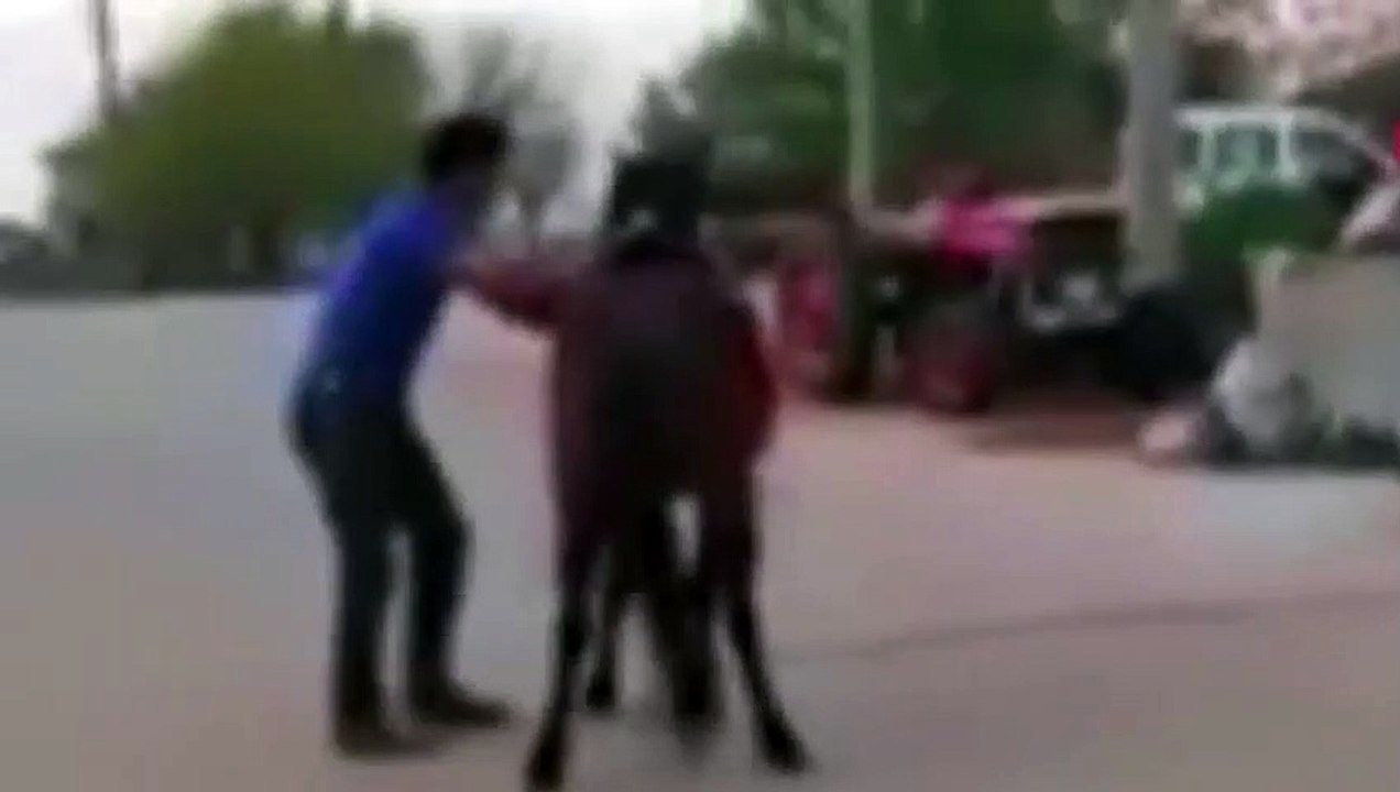 Ata binmek isteyen vatandaş böyle düştü