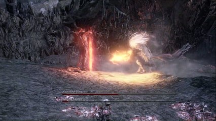 Nameless King VS Soul Of Cinder