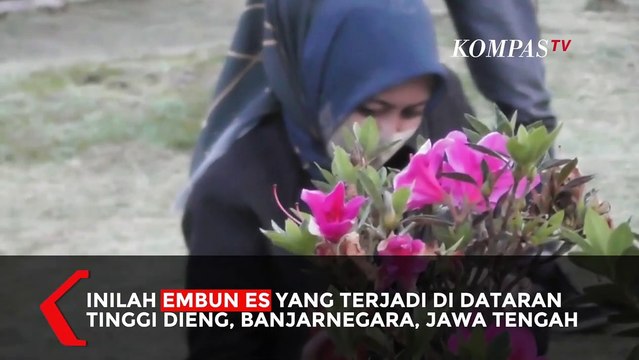 Brrr...Dataran Tinggi Dieng Minus 3 Derajat Celcius!