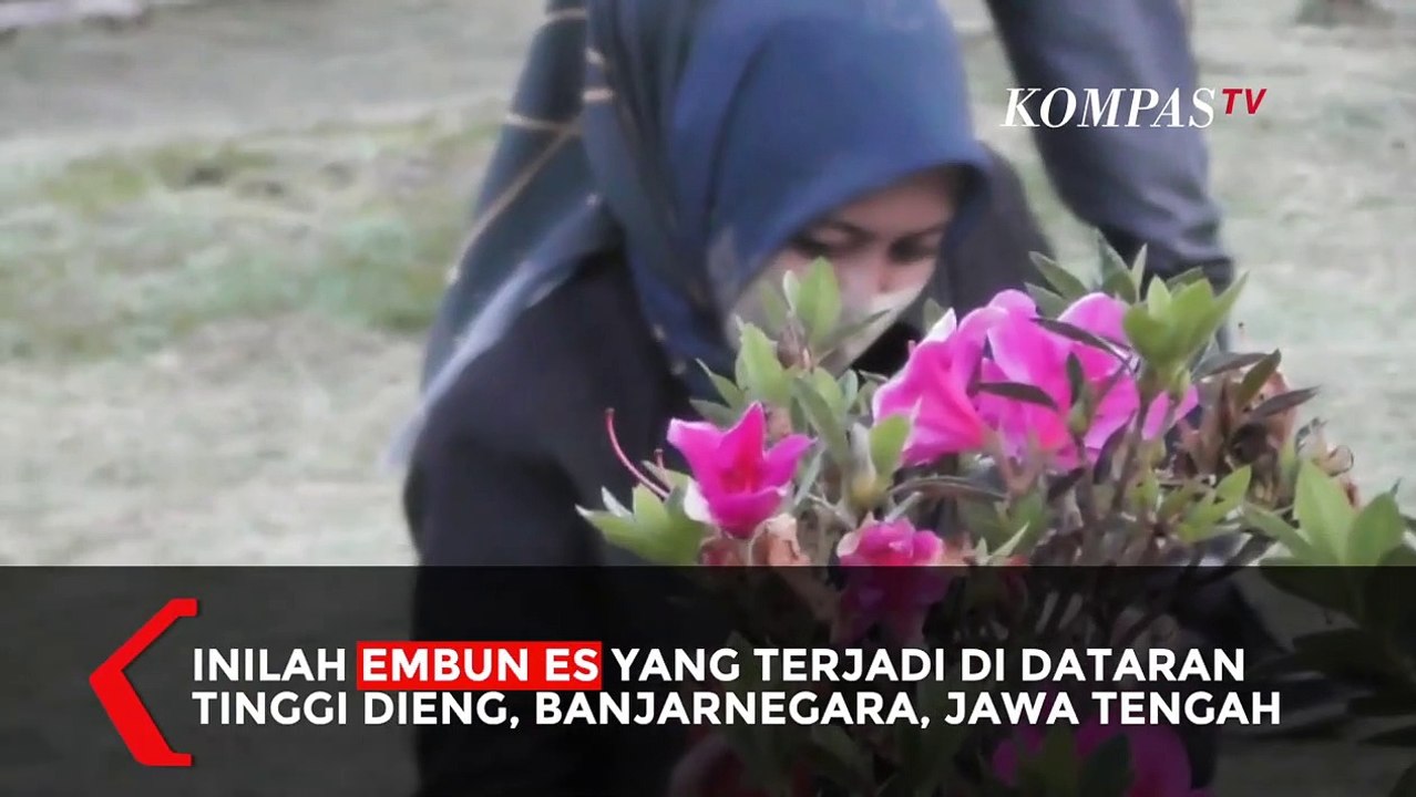 Brrr...Dataran Tinggi Dieng Minus 3 Derajat Celcius!