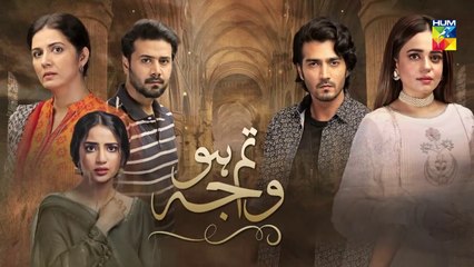 Tum Ho Wajah Episode 15 Promo HUM TV Drama