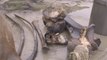 Russie: des pêcheurs découvrent un squelette de mammouth
