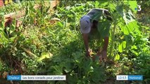 Jardinage : quelques conseils en période de sécheresse