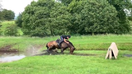 Guy Falls on His Back While Horse Riding