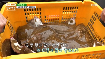 싱싱하고 다양한 활어 세상