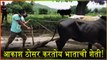 Sairat Fame Akash Thosar Farming In His Farm | आकाश ठोसर करतोय भाताची शेती! | Viral Masti