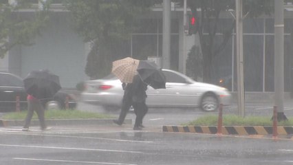 [날씨] 오늘도 오락가락 장맛비...남해안 호우특보 / YTN