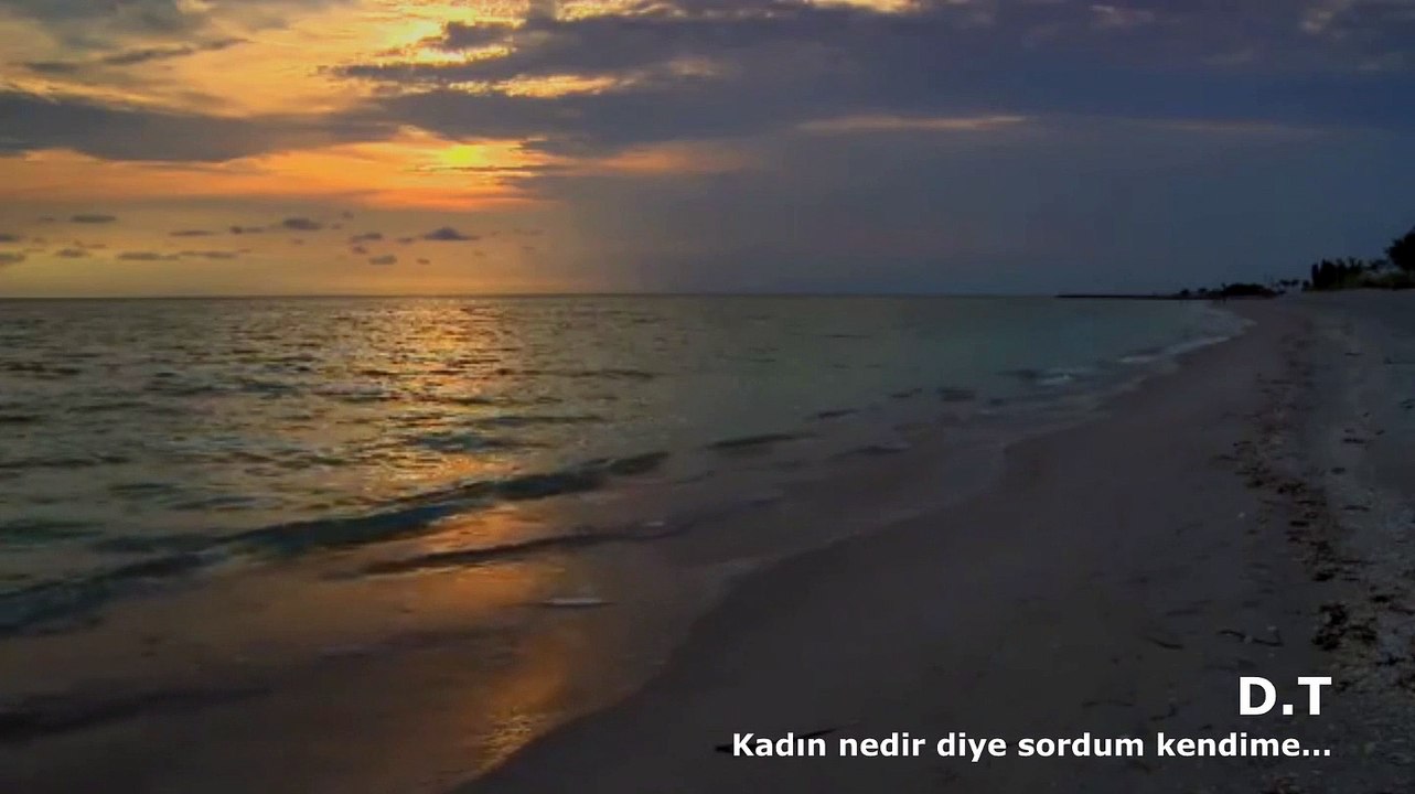 D.T - Kadın nedir diye sordum kendime