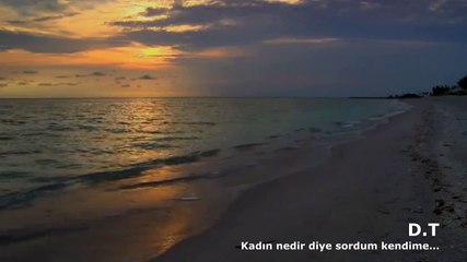 D.T - Kadın nedir diye sordum kendime