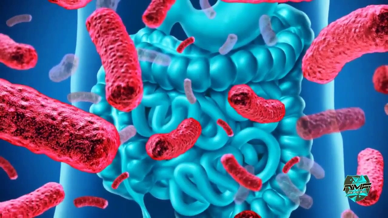 Gutamin 7 Supplement Review - Don't Buy Until You Watch!