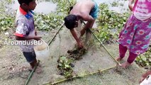 Amazing net fishing in village - Unique Fish Trapping System - catching lot of fish by cast net