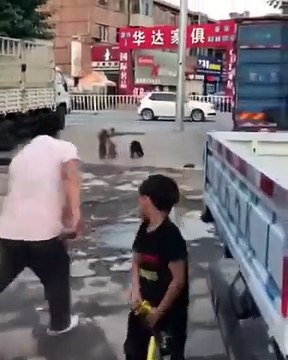 Un singe sur un vélo poursuivi par un chien ! Bienvenue au cirque