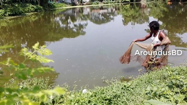 Amazing net fishing in village - Fishing with beautiful nature - Fishing with beautiful nature