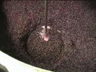 Grapes to Glass