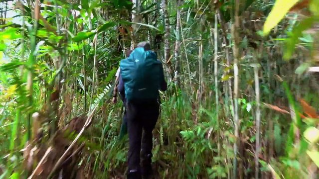 SEB EN PAPOUASIE (documentaire) prt 1/2