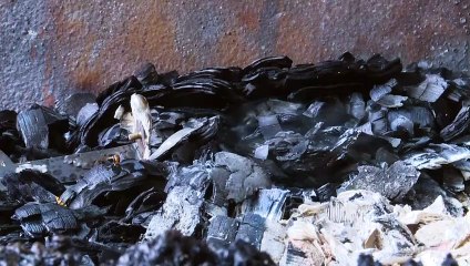 Fire, anti-Arab graffiti damage West Bank mosque