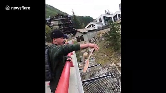 Switzerland man casually tossing skateboard on balcony ends exactly how you'd think