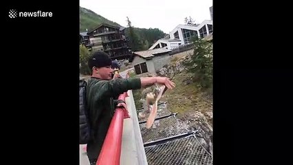 Switzerland man casually tossing skateboard on balcony ends exactly how you'd think