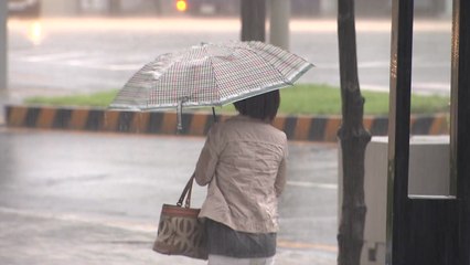 [날씨] 오늘도 장맛비 오락가락...경남 해안 강한 비 / YTN