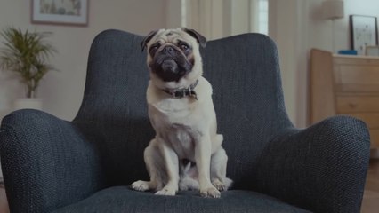 Publicidad VOLKSWAGEN SURAN 2014 - Se agranda tu familia, evoluciona tu Suran