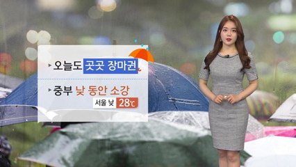 [날씨] 전국 곳곳에 장맛비...낮에는 후텁지근 / YTN
